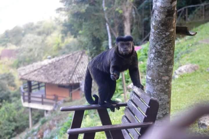 Vista Linda Hotel Itatiaia  Zewnętrze zdjęcie