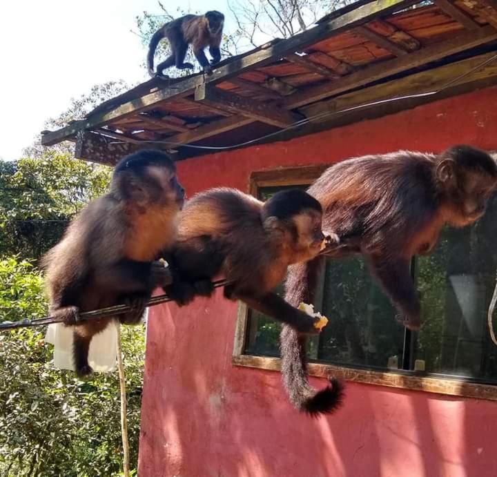 Vista Linda Hotel Itatiaia  Zewnętrze zdjęcie