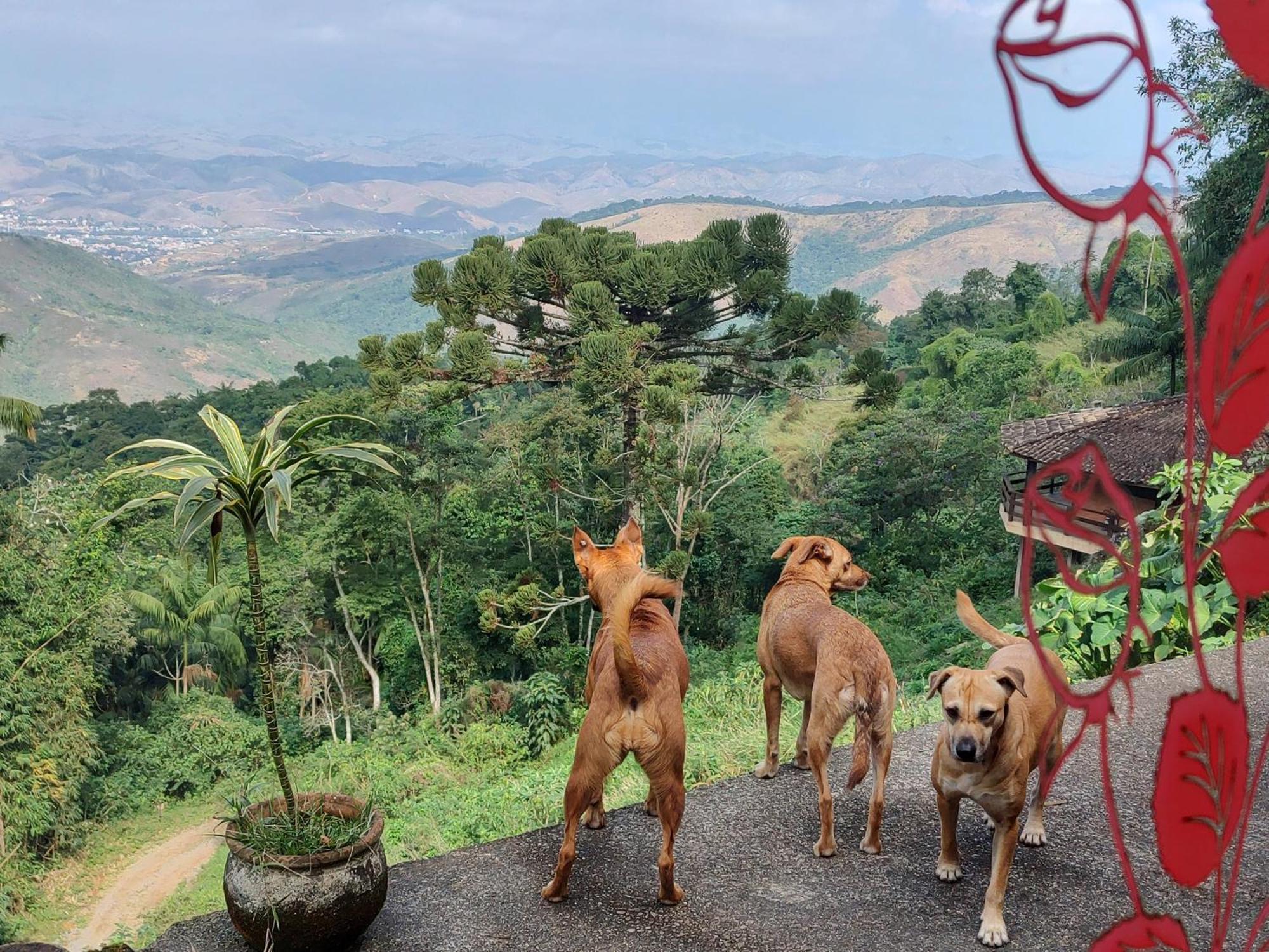 Vista Linda Hotel Itatiaia  Zewnętrze zdjęcie